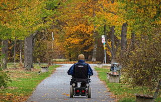wheelchair, autumn, park, drive, man, movement, senior, leaf coloring, fall foliage, mood